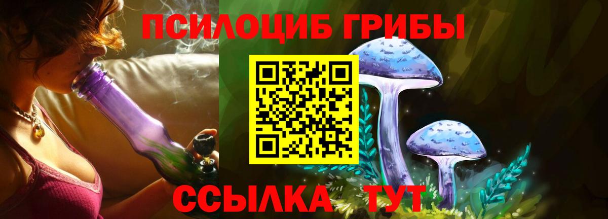 Туапсе  Галлюциногенные грибы Magic Shrooms  цены   Псилоцибиновые грибы Magic Shrooms  Вход с VPN 