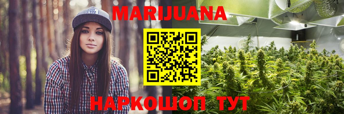 Бошки Шишки план Туапсе